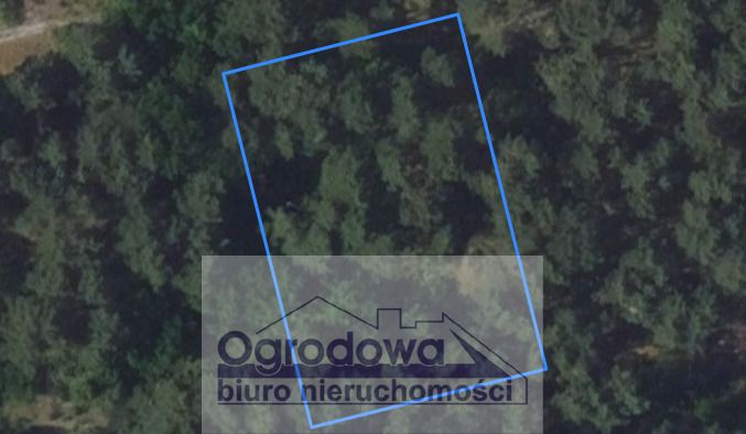 Działka rekreacyjna Popowo-Letnisko, al. Centralna. Zdjęcie 2