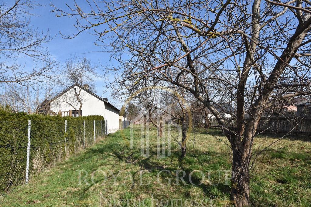 Działka siedliskowa Annobór-Kolonia. Zdjęcie 4