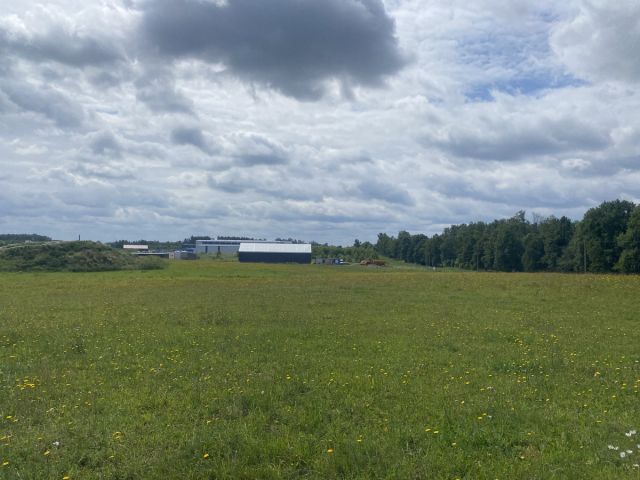 Działka inwestycyjna Ługwałd. Zdjęcie 1