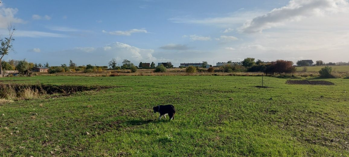 Działka rolna Mikołajew. Zdjęcie 4