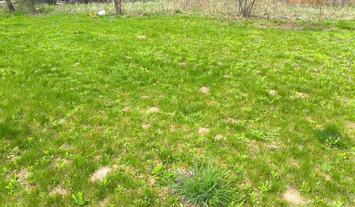 Działka rod Elizówka