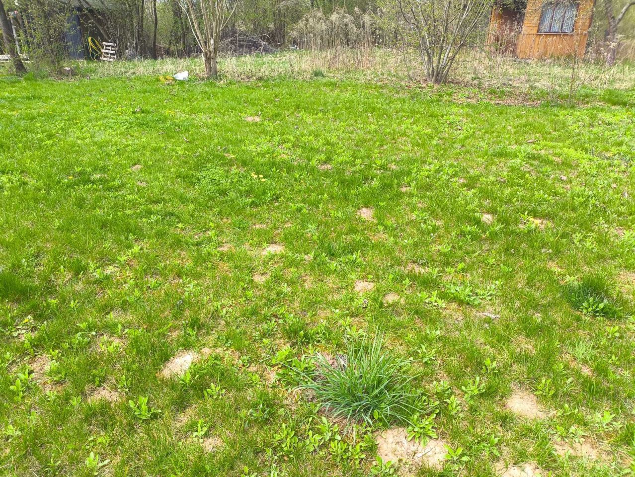 Działka rod Elizówka. Zdjęcie 1