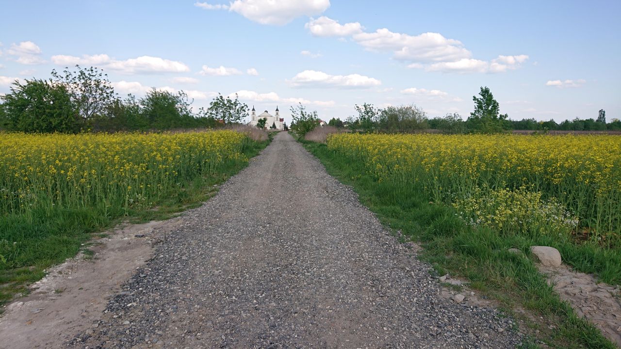 Działka budowlana Łady, ul. Migdałowa. Zdjęcie 8