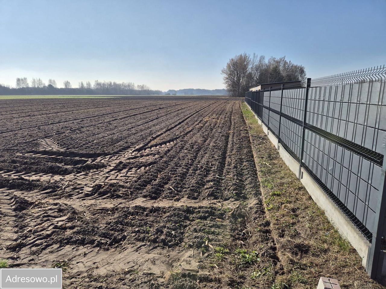 Działka rolno-budowlana Rawica Stara. Zdjęcie 2