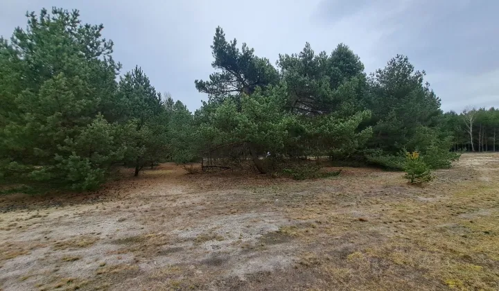 Działka rolno-budowlana Ojrzeń