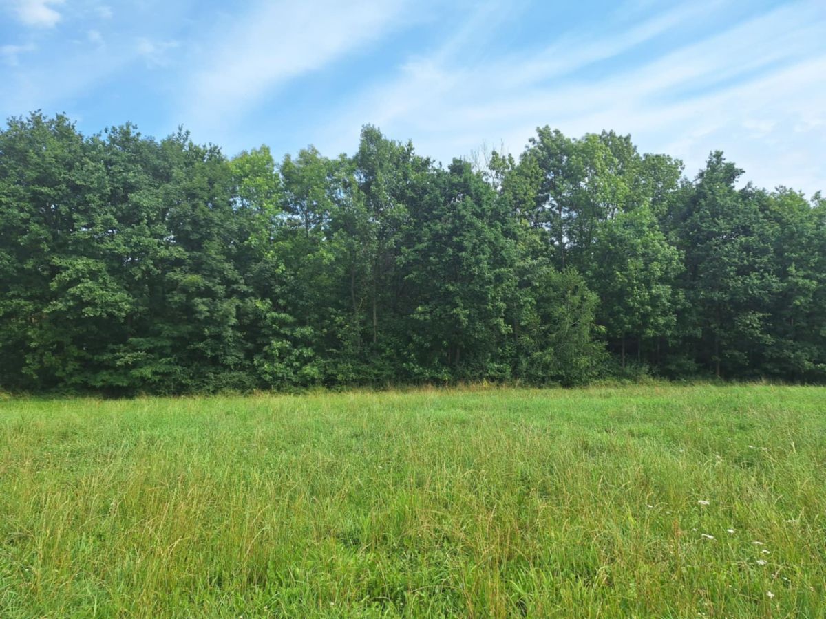 Działka rolna Kępa. Zdjęcie 3