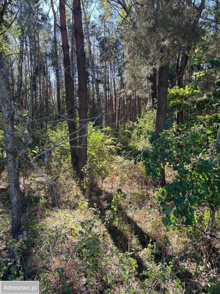 Działka rolna Ciechanowiec Ciechanowczyk. Zdjęcie 5