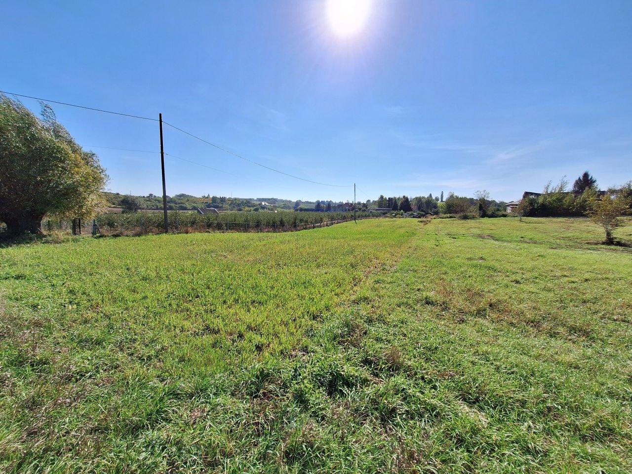 Działka rolno-budowlana Sandomierz Chwałki, ul. Bukowa. Zdjęcie 4