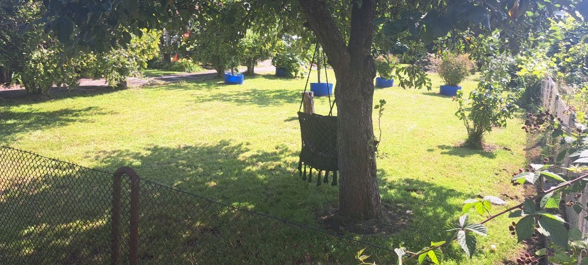 Działka rod Kępno, ul. Sportowa. Zdjęcie 4