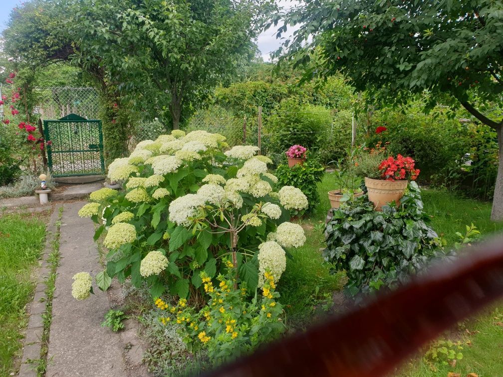 Działka rod Bolesławiec. Zdjęcie 5