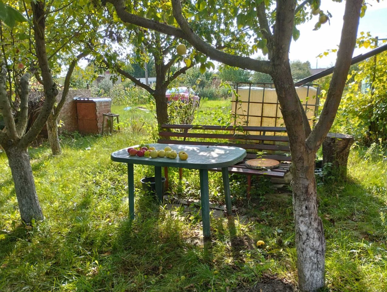 Działka rod Chodzież. Zdjęcie 6