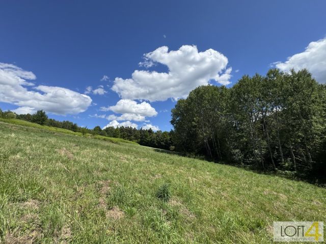 Działka budowlana Paleśnica. Zdjęcie 5