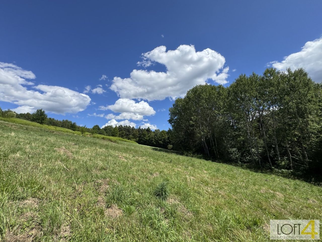 Działka budowlana Paleśnica. Zdjęcie 5