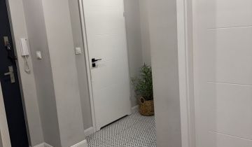 Mieszkanie 2-pokojowe Chełm Dyrekcja