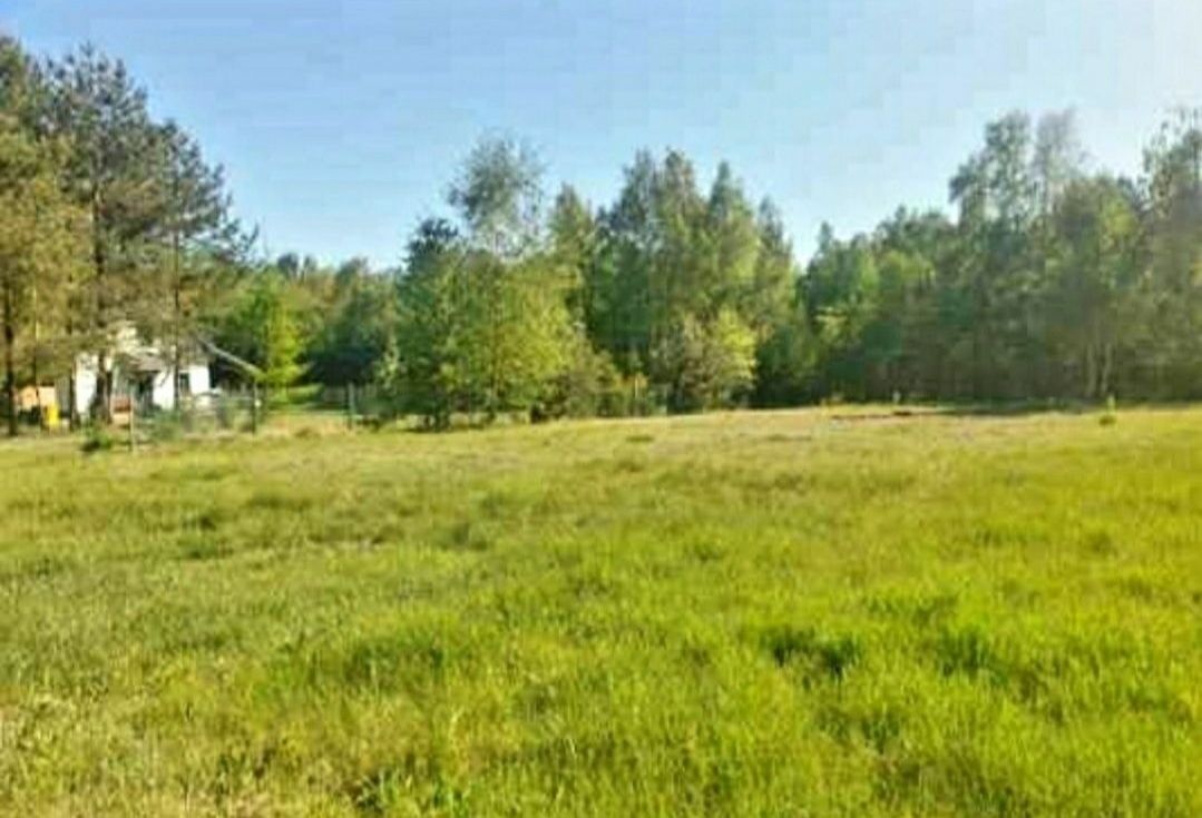 Działka budowlana Złotniki Kazimierzew. Zdjęcie 5