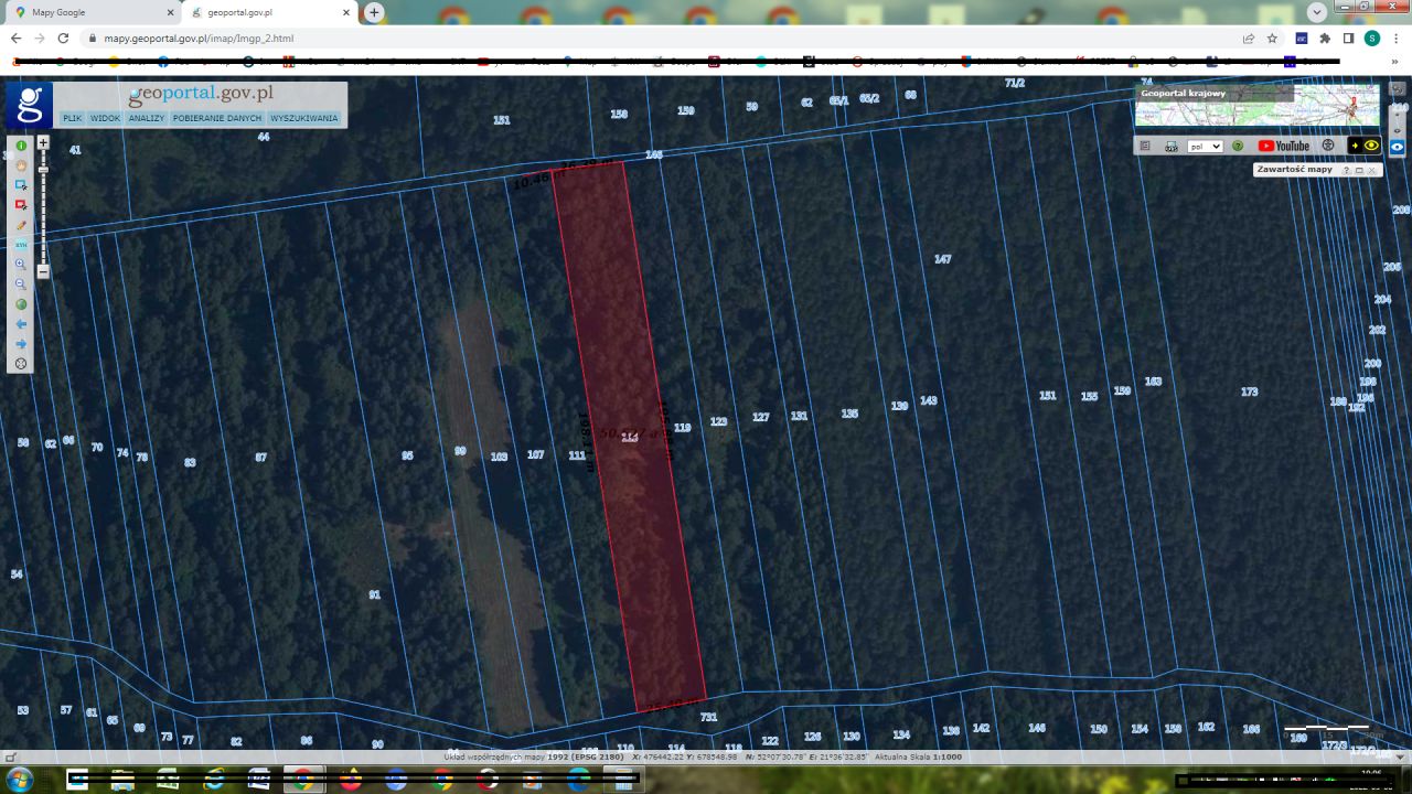 Działka leśna Krzywica. Zdjęcie 2