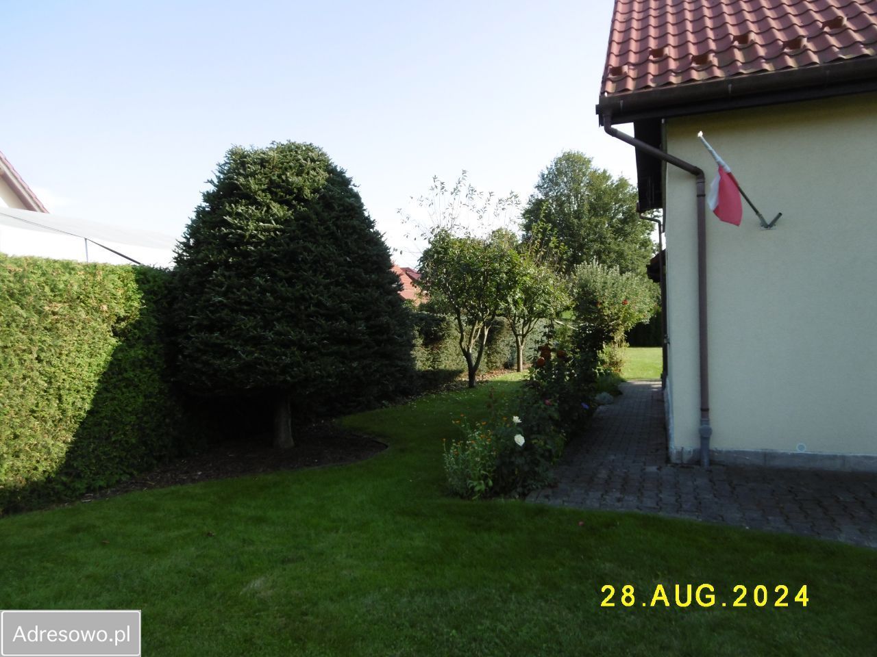 dom wolnostojący, 8 pokoi Kudowa-Zdrój. Zdjęcie 9