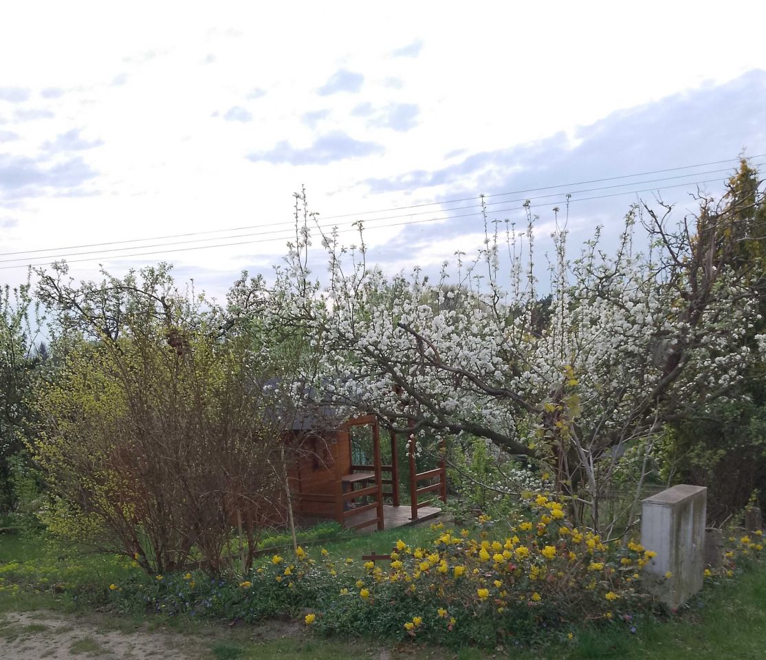 Działka rod Jarocin, ul. Poznańska. Zdjęcie 2