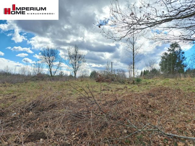 Działka inwestycyjna Grzybno, ul. Miodowa. Zdjęcie 6