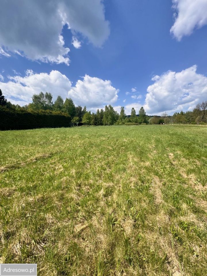 Działka budowlana Przybędza, ul. Miła. Zdjęcie 1