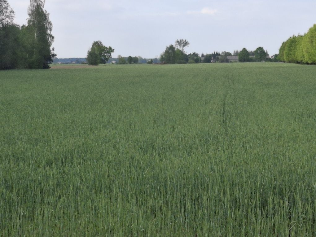 Działka budowlana Nowy Stanin. Zdjęcie 7