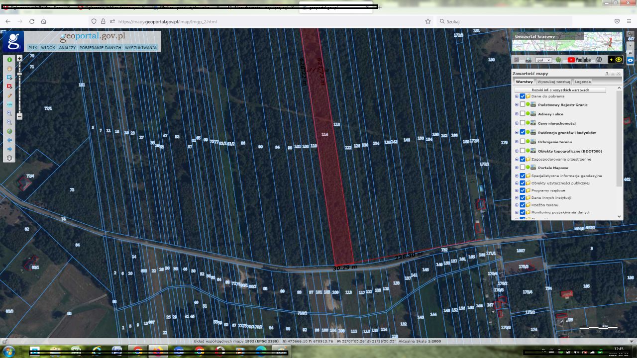 Działka leśna Strugi Krzywickie. Zdjęcie 5