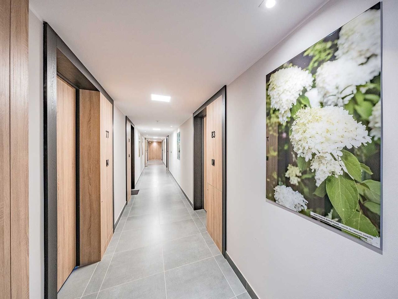 Mieszkanie 2-pokojowe Gdańsk Chełm, ul. Wielkopolska. Zdjęcie 2