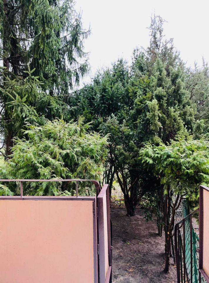 Mieszkanie 4-pokojowe Warszawa Praga-Południe, ul. Stefana Starzyńskiego. Zdjęcie 7