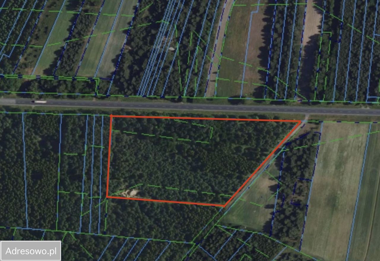 Działka inwestycyjna Kozenin. Zdjęcie 2