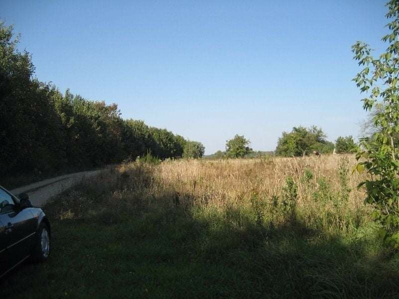 Działka budowlana Załuski, ul. Leśna. Zdjęcie 7