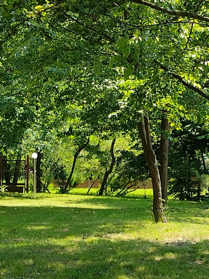 dom wolnostojący, 3 pokoje Krzętów. Zdjęcie 11