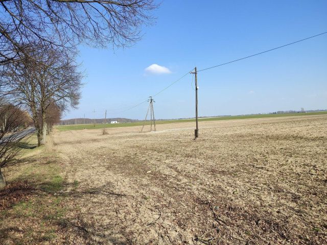 Działka rolno-budowlana Strączno. Zdjęcie 1