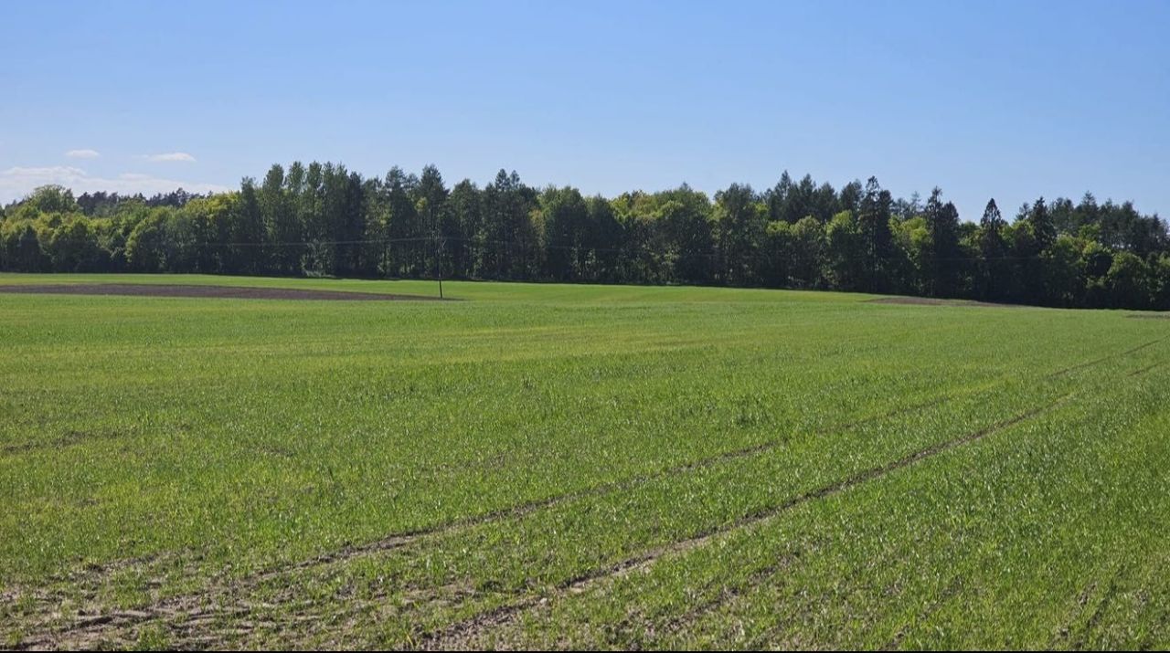 Działka budowlana Widlino. Zdjęcie 5