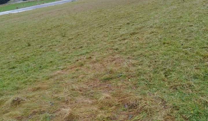 Działka budowlana Koniaków