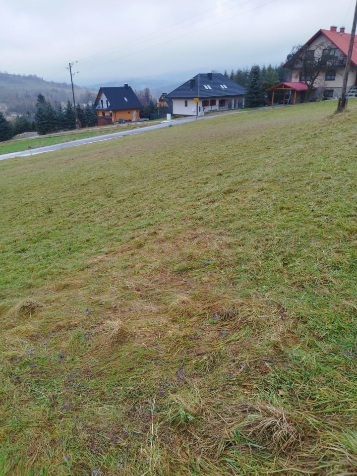 Działka budowlana Koniaków. Zdjęcie 1