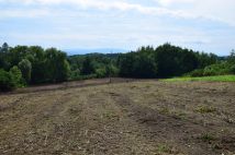 Działka budowlana Raciborsko. Zdjęcie 1