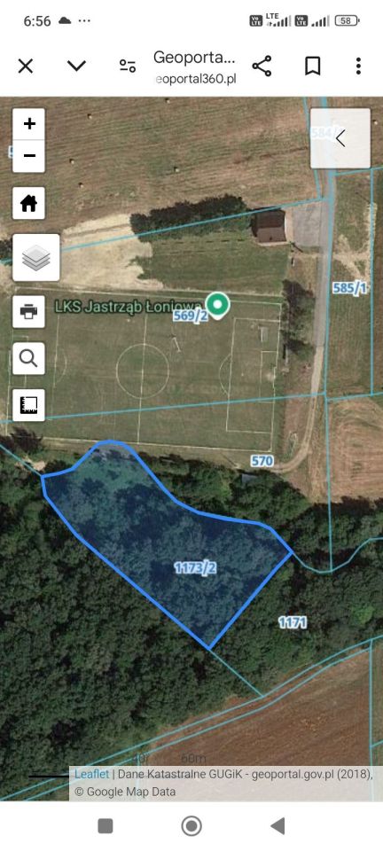 Działka leśna Łoniowa