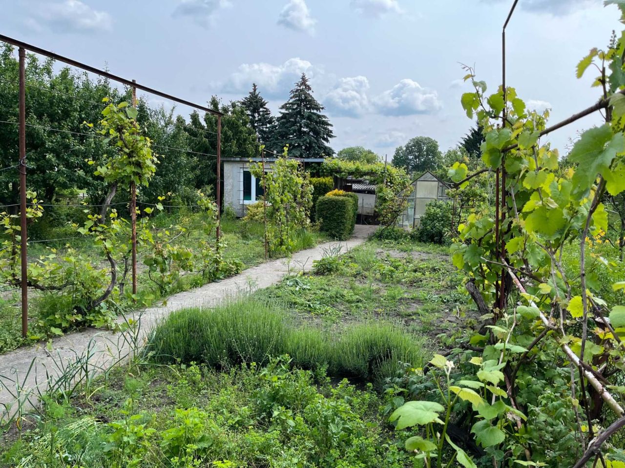 Działka rekreacyjna Wąbrzeźno, ul. Działkowa