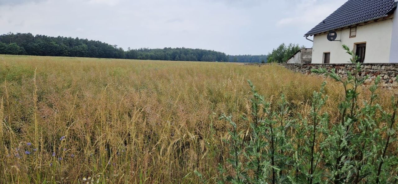 Działka rolno-budowlana Kamionek