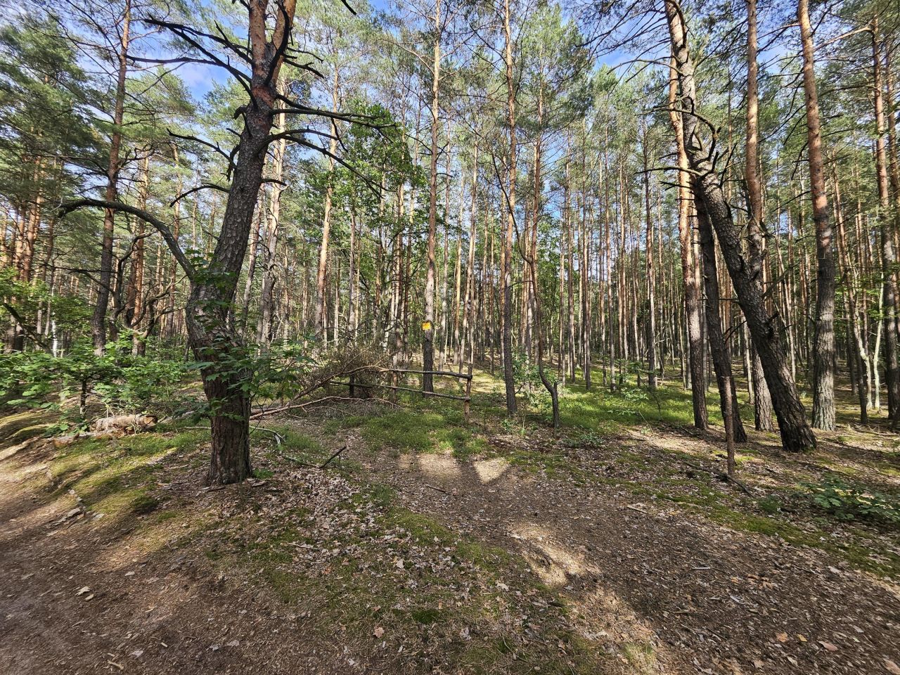 Działka inwestycyjna Warszawa Wesoła, ul. Prabucka. Zdjęcie 4