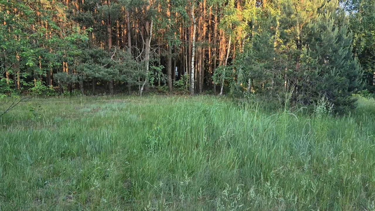 Działka budowlana Kurnos Drugi. Zdjęcie 2