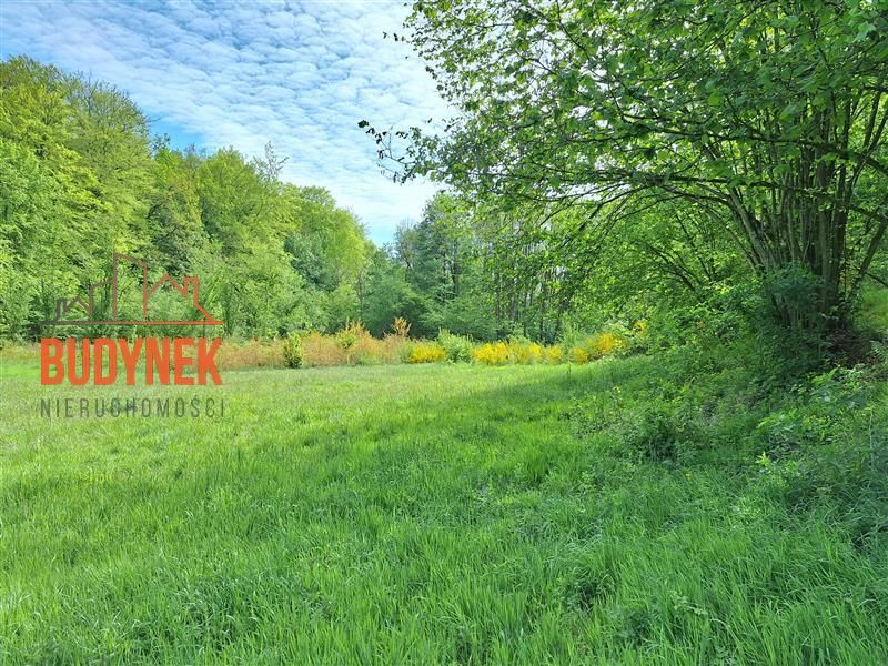 Działka rolna Paproty. Zdjęcie 8