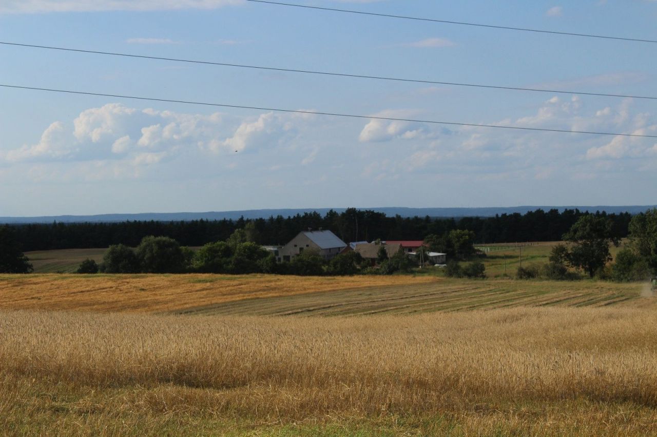 Działka rolna Jarnatów. Zdjęcie 3