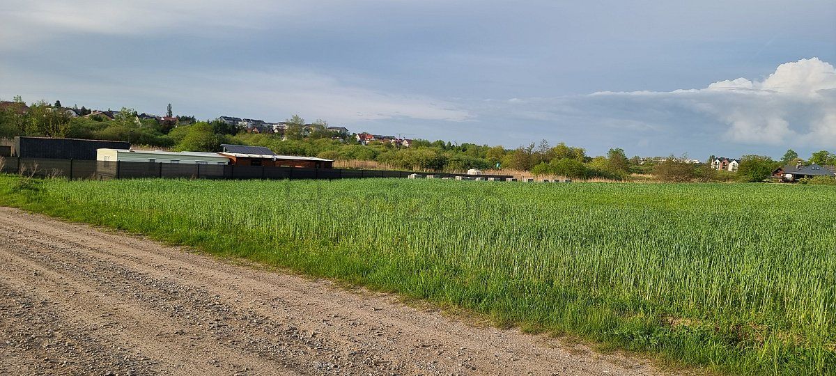 Działka rolna Sianożęty. Zdjęcie 9