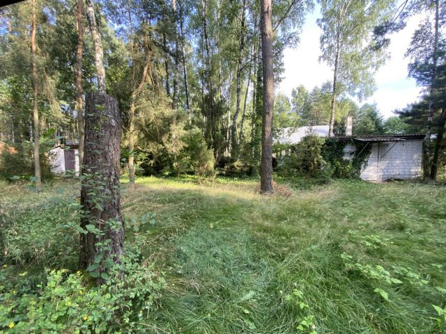 Działka rekreacyjna Rokitnica. Zdjęcie 3