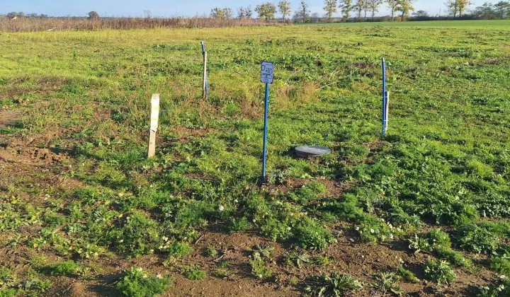 Działka budowlana Kaźmierz