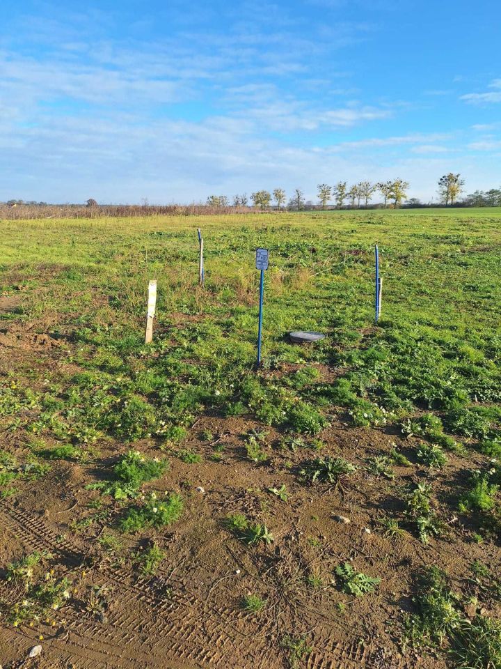 Działka budowlana Kaźmierz. Zdjęcie 1