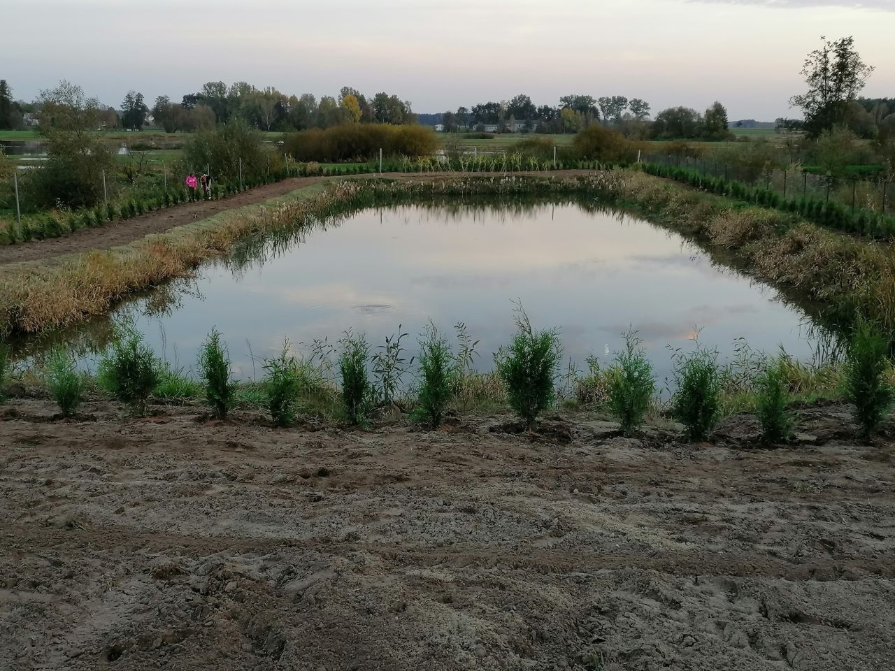 Działka siedliskowa Stara Sucha. Zdjęcie 20