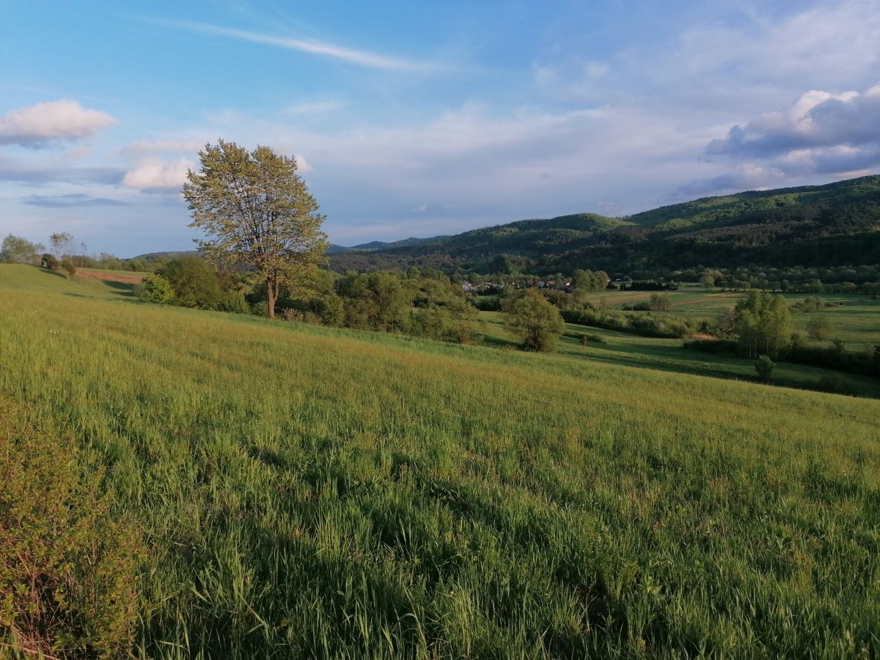 Działka rekreacyjna Rybotycze. Zdjęcie 22