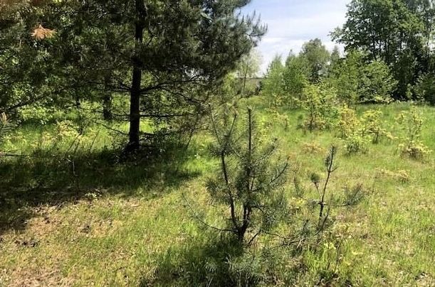 Działka budowlana Radawa Cienkie. Zdjęcie 1